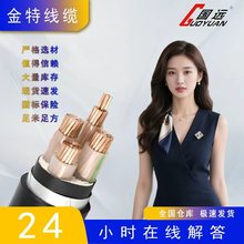 ����YJV/YJV220.6/1KV�~о��|12345о10��300ƽ��������̌���