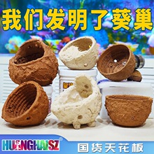 �ʺ��������챭���������C����ɺ�������~���쾰�b����C�̶��S