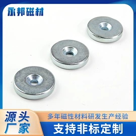 其他磁性材料;永磁材料