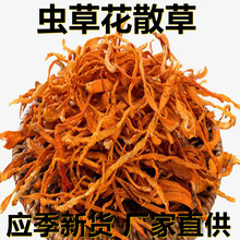 应季新货 虫草花散草 花草茶500克/1斤散装 厂家直供 食用休闲茶