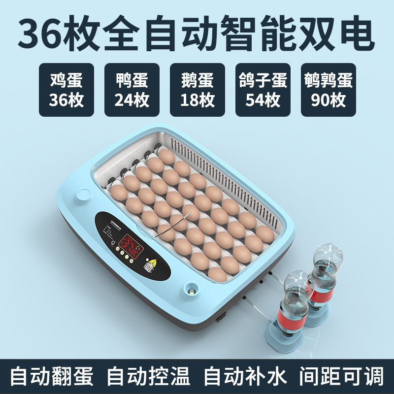 Incubadora, hogar pequeño, incubadora inteligente automática, incubadora, incubadora, loro, huevo de pájaro, pollo, pollo, pollo