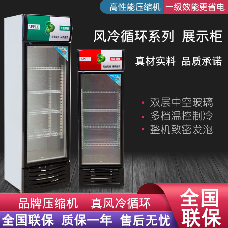 饮料展示柜啤酒柜商用冷藏冰柜双开门冷饮柜单门冷藏立式保鲜柜