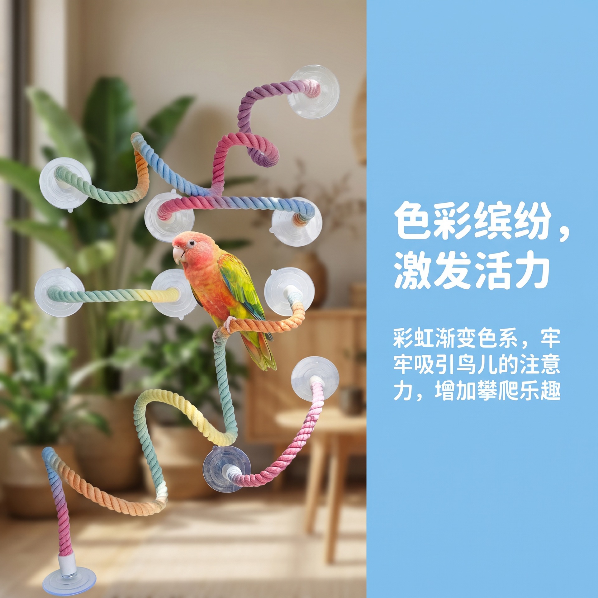 鹦鹉吸盘棉绳玻璃站杆攀爬娱乐鸟玩具玄凤牡丹虎皮专用小宠用品