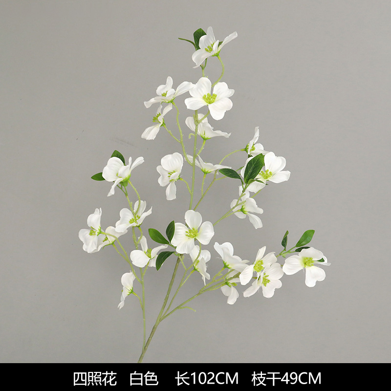 Cuatro fotos de flores (nuevo estilo)