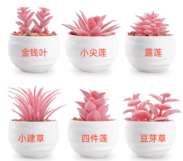 6个小碗粉色.png