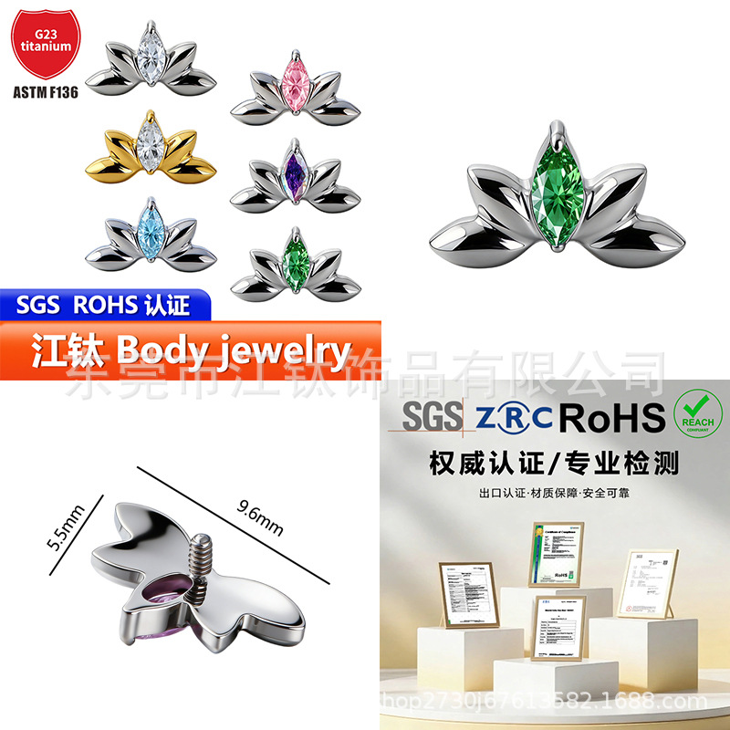 Pointed titanium steel lip stud product view