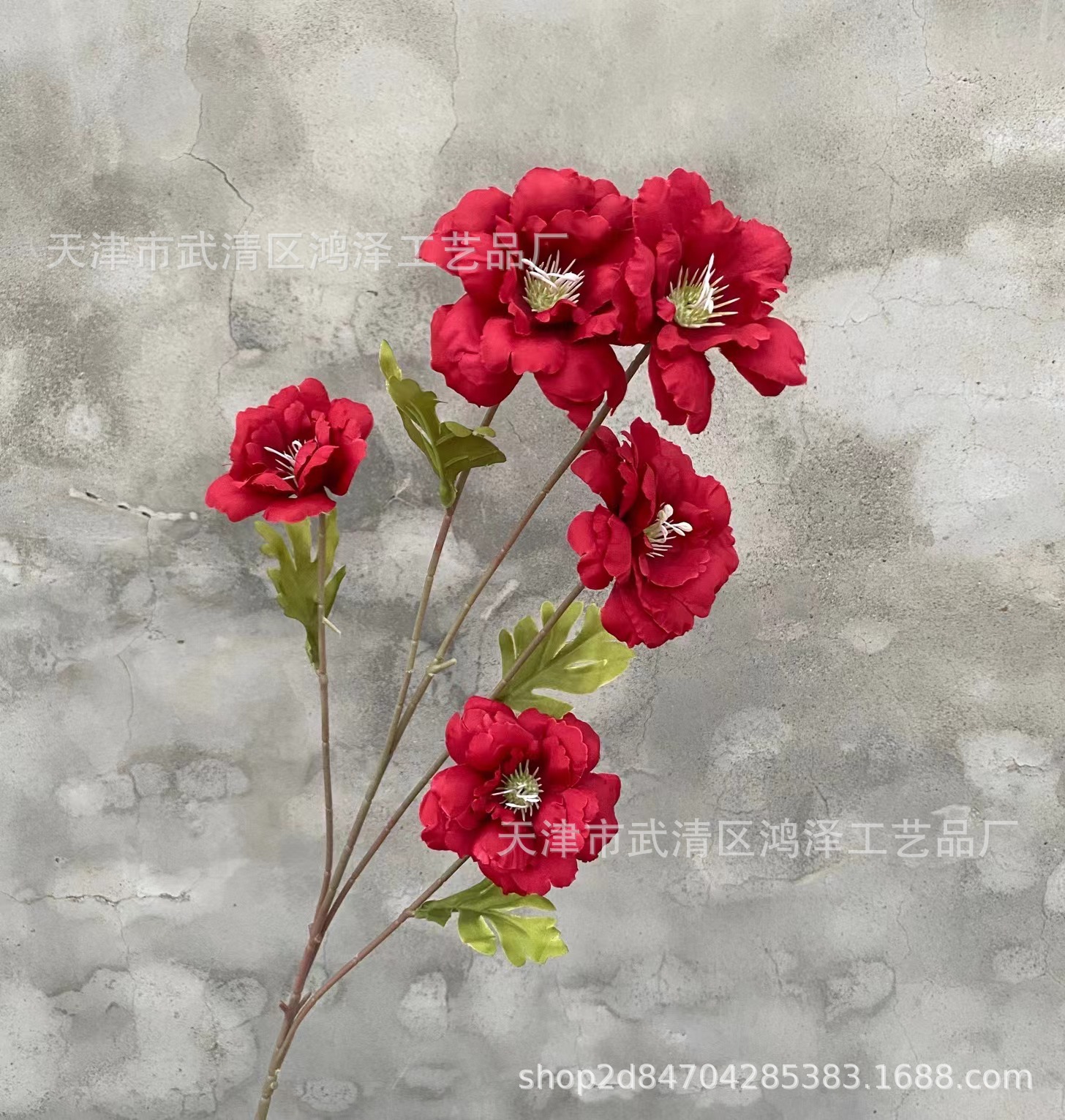 5 히비스커스 꽃