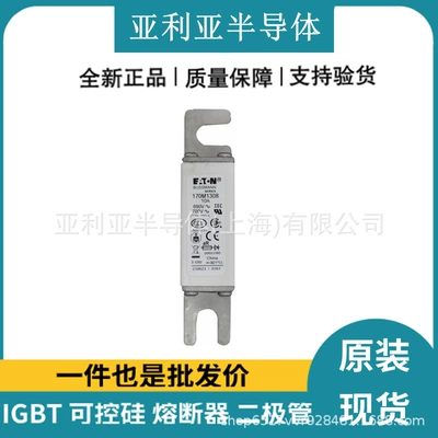 170m1308 170m1309 High Voltage Fuse Low Voltage Fuse Electronic Components Brand New in Stock