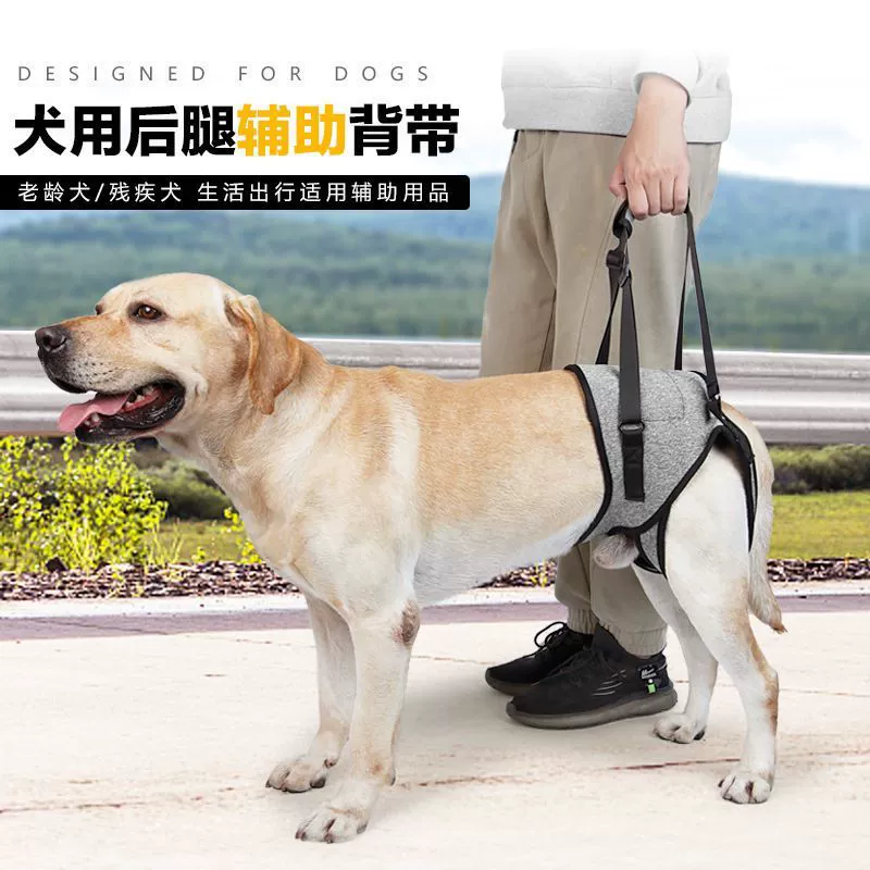 Cross-Border Best-Selling Pet Injured Dog Hind Leg Auxiliary Harness for Elderly Injured Dogs Rehabilitation Belt Auxiliary Traction Delivery