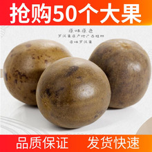 �_�h���a�����l�V������ɢ�bҰ�����r�����Ʒ�ɹ������ݻ���