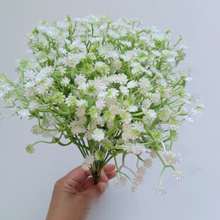 �羳���l����M���ǻ�Y�b�����ܛ�z�M���ǆ�֧���ϻ��ٻ��[��