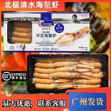 北极清水冷冻海螯虾挪威进口英国小龙虾寿司刺身日料西餐家庭商用