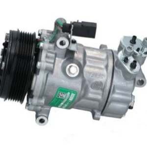 Volkswagen Santana Jetta Kondisioner Soyuducu Kompressor 6R0820803A 6Rf820803A üçün