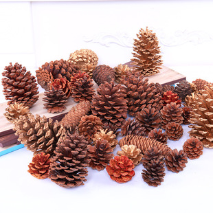 �ɹ��}�Q���b�Ʒ�ɻ���������ԭɫ��������������ɹ��~�[�ɹ�