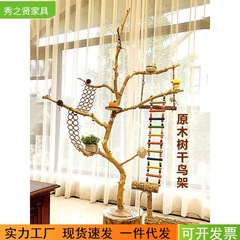 乾燥した枝、丸太、乾燥した鳥のスタンド、オウムのスタンド、アートの乾燥した枝、枯れ木、幹スタンド、天井の骨格装飾