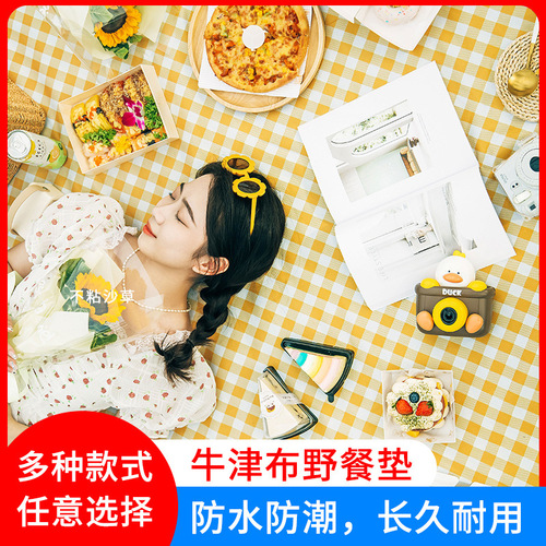 Picnic mat moisture-proof cloth outdoor camping portable waterproof thickened picnic beach outing mat lawn spring outing mat