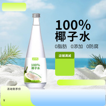 椰子水植物饮品 果汁饮品玻璃瓶饮料  植物果蔬高温除菌生产线