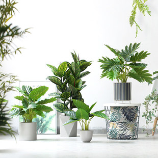 ����ֲ��С���Ի���ϲ������ؾGֲ�҃��b��辰����[��