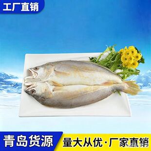 ����S�~ �S���~ ���lȥ���K ���rˮ�a ���u؛Դ ���Sֱ�N �н��N