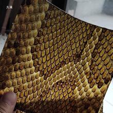 ��Ƥ ��������Ƥ ����Ƥ ������Ƥ Խ��/������Ƥ ��������Ƥ