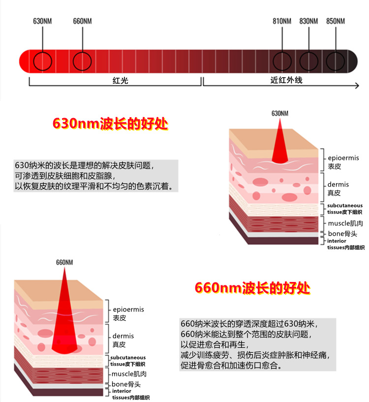 red light therapy 3_副本_副本