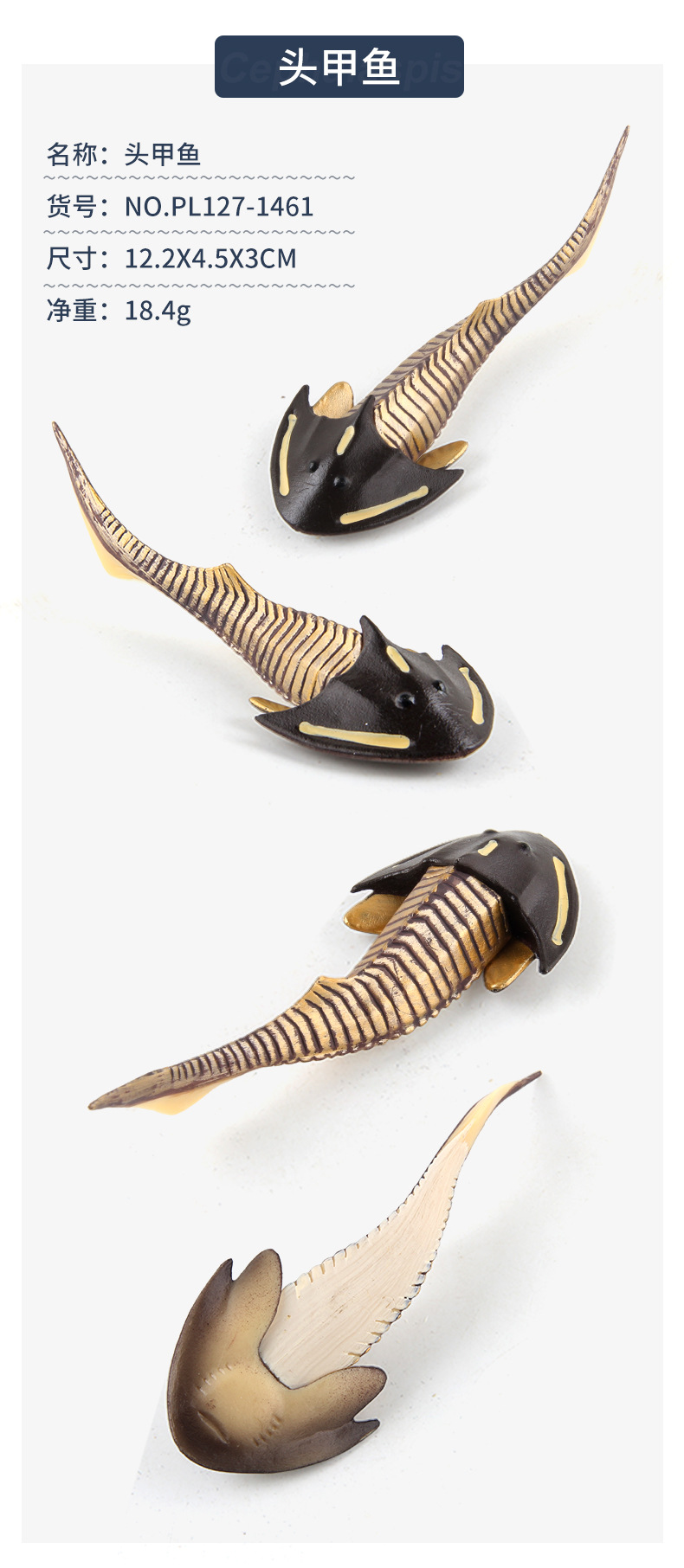 海洋生物模型玩具