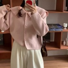 2025年秋冬季新款韩版小个子娃娃领毛衣女时尚洋气减龄百搭针织衫