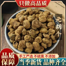 元胡正品中药材元胡延胡索元胡延胡索 元胡粉 延胡索粉新货野生