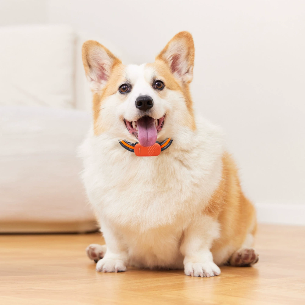 Новый 4G Beidou любимчика водонепроницаемый смарт-GPS локатор G51 кошка ошейник анти-потерянный колокол трекер