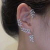Ear clips, brand earrings, Aliexpress, no pierced ears