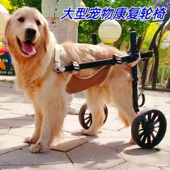国境を越えたペット犬用車椅子、犬用リハビリ歩行補助車、ペット用電動スクーター