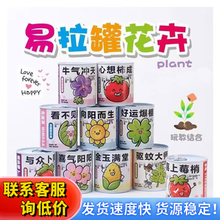 Kindergarten Children Planting Small Potted Plants Students Mini Fruit Small Potted Plants Blind Box Office Indoor Desktop Green Plants