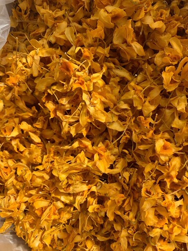 Yunnan Drumstick Dendrobium Flower New Arrival Iron Sheet Drumstick Dendrobium Flower Sky Seed Orchid Herbal Tea Supply Bulk Wholesale