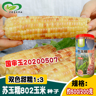 �����K��Ŵ802���׷N�� �����ϰ���Ŵ����װ����� ����Ŵ������