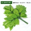 Orange 3-pronged mango leaves 12 branches