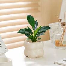 ��荾G������ꎱ��W�k���҃���X����Gֲ�������Է�ݗ������՚�