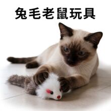 兔毛老鼠猫玩具丰荣玩具宠物用品爆款毛绒老鼠逗猫玩具自嗨解闷