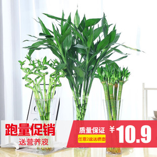 ˮ��ֲ�︻�F���D�\���^����ˮ��͏dֲ����Gֲ���ܰ��]