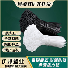 自锁式尼龙扎带批发3*200*4*250*5*300*8*350塑料扎带束线带绑带