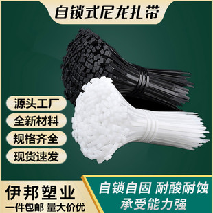 Self-locking nylon cable ties wholesale 3*200*4*250*5*300*8*350 plastic cable ties with cable ties