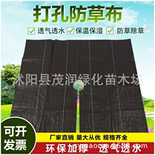 现货批发切片防草布 切片打孔开边防草地布 园艺地布 除草地布