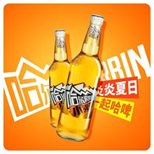 Harbin�����Iơ��500ml��ƿ���ơ�Ʋ���ƿС������ơ��ơ������