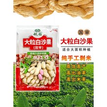 ��С��ɳ����ԭ�N�����Ѵ���������߮a�����N��ԭ�N����ɽ�|����