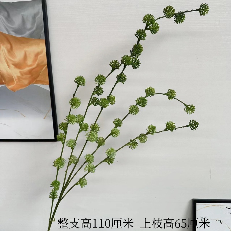 1仙人果
