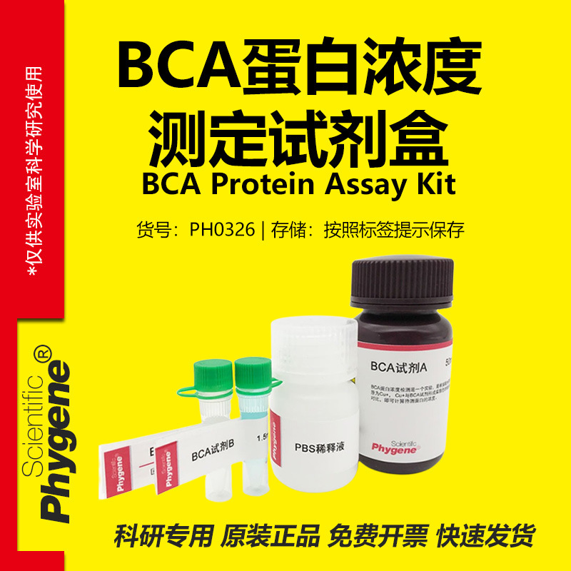 BCA蛋白浓度测定试剂盒 BCA蛋白定量试剂盒 [PH0326 PHYGENE]