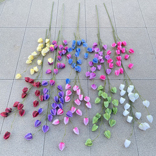 2��Ī�Ο��\�� ���� ��c�Ӽ��bٰٺϻ� ���l