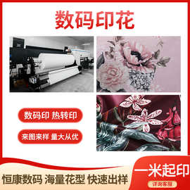 厂家新款几何花朵贡缎色丁抱枕靠垫涤纶面料海量花型数码印花加工