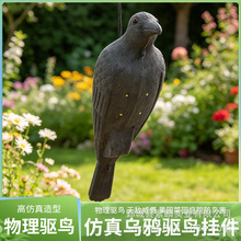 �羳������f�@���b�C�T�D�[��������B�������Ϟ��f��Д[�O