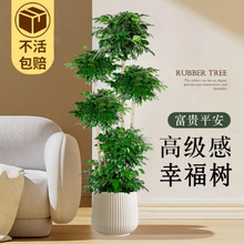 �Ҹ���͏d���Դ��;Gֲ�k���Һ��B�辰�lؔ���·�����ȩ�҃�ֲ��