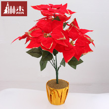 �Ղ� 7�^�}�Q�}�Q�軨�}�Q�tһƷ�t�����}�Q���}�Q�軨�辰�}�Q��
